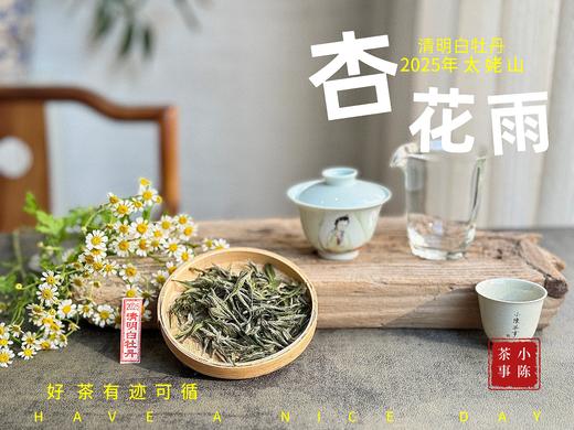 【新茶上市】2025清明白牡丹，春茶复购率排行第一的白茶，汤水花香盈盈，清鲜甘淳，美不胜收（一斤收藏装） 商品图5
