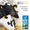 新希望有机纯牛奶 商品缩略图2