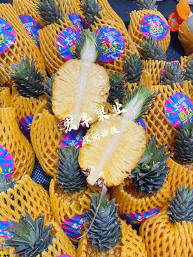 芒果凤梨 口感香甜 自带芒果香味 矮胖可爱  12.8元一斤