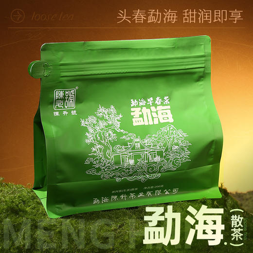 【春茶散茶套餐】陈升号 2025年滑竹梁子散茶+勐海散茶+布朗山散茶200g*3（生茶） 商品图3