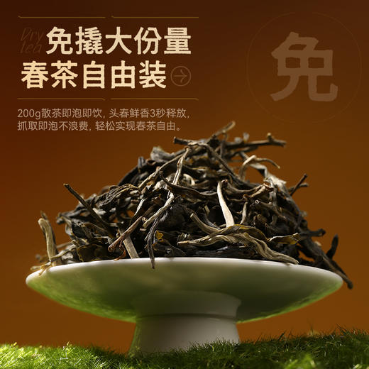 陈升号 2025年勐海散茶200g（生茶） 商品图4