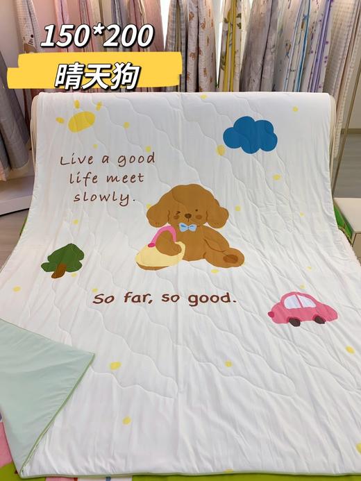 2025新款松植屋小冰龙冰皮被夏凉被冰淇淋凉感被抗菌A类空调被可水洗 商品图11