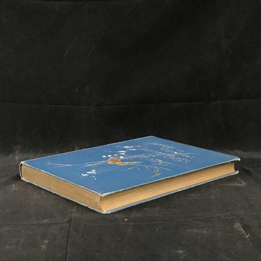 约20世纪早期 不列颠与欧洲蝴蝶飞蛾图鉴 30页彩色插图 漆布精装大16开 商品图1