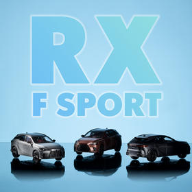 1/43 RX F SPORT车模