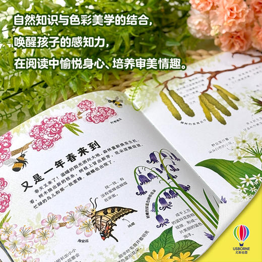 尤斯伯恩-森林之书 大自然的科普书 赠拼插 商品图2