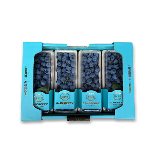 串枝蓝莓 整箱1kg	Fresh Blueberries 1kg/4盒(250g) 商品图0