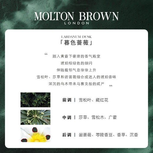 【有赞】Molton Brown摩顿布朗香水型香氛沐浴露 留香持久 27年之后 商品图4