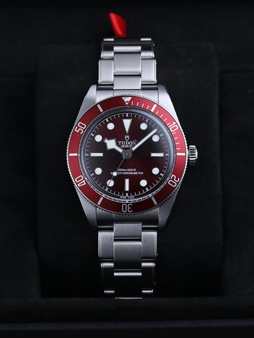 帝舵M7939A1A0RU-0002 商品图1