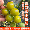 青口蜜小番茄 皮脆爆汁 酸甜可口 自然成熟 不打膨大剂  番茄味浓郁 清甜2号 绿圣女果 350g 商品缩略图0