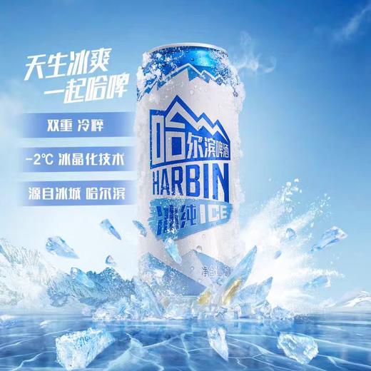 哈尔滨冰纯啤酒500ml*1听/6听/12听 商品图2
