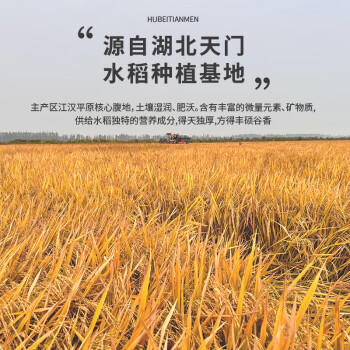 庄品健 绘福香丝苗米10斤 长粒香大米5kg 籼米猫牙米 当季新米 /粮油调味 /米 /丝苗米 商品图2