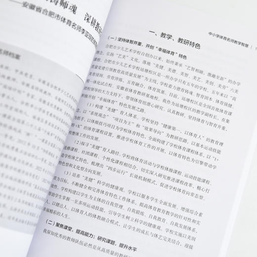 中小学体育名师教学智慧 商品图2