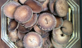  夏季去暑湿？快试试这个「一片值一金」的「南方人参」吧！ 