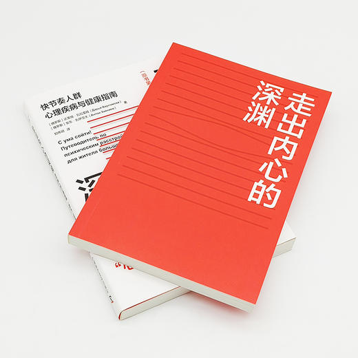走出内心的深渊：快节奏人群心理疾病与健康指南（第3版） 商品图4