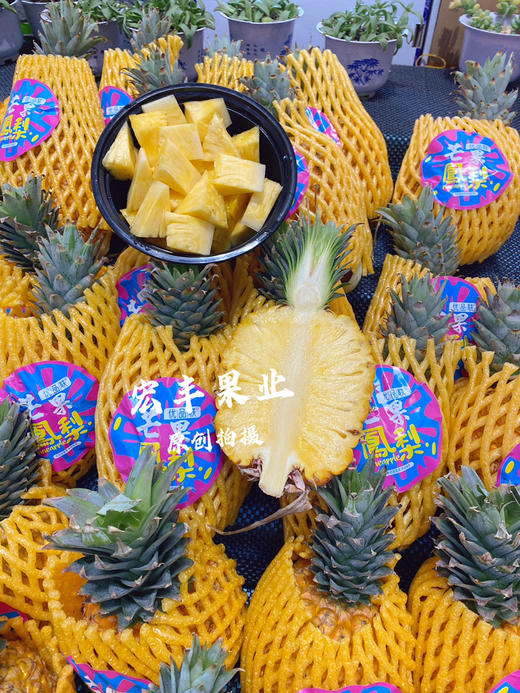 芒果凤梨 口感香甜 自带芒果香味 矮胖可爱  12.8元一斤 商品图7