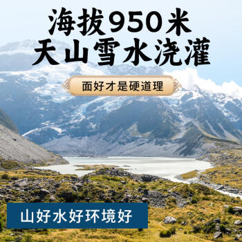 腰站子新疆奇台有机面粉20斤烘焙面食大包装通用小麦粉包邮 /粮油调味 /面粉 /通用粉 商品图4