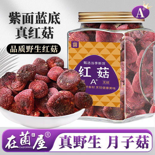 在菌屋 正宗武夷山纯野生大红菇250g/罐 正红蓝底大红菇 汤色红艳鲜甜 商品图0