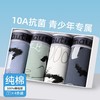 【舒适纯棉，亲肤柔软透气】青少年内裤 男童发育期 高中生初中学生 大童男生A类平角内裤-QQ 商品缩略图6