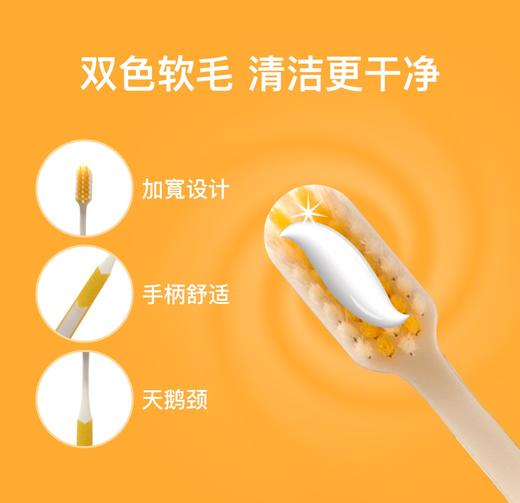 【保税仓】护龈伙伴 正品 片仔癀软毛牙刷三支装（黄蓝紫色） 商品图4