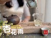 【新茶上市】2025清明白牡丹，春茶复购率排行第一的白茶，汤水花香盈盈，清鲜甘淳，美不胜收（4斤收藏装） 商品缩略图7