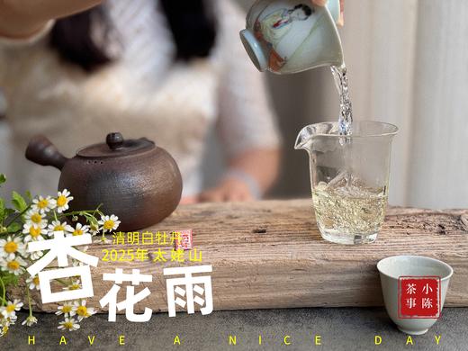 【新茶上市】2025清明白牡丹，春茶复购率排行第一的白茶，汤水花香盈盈，清鲜甘淳，美不胜收（4斤收藏装） 商品图7