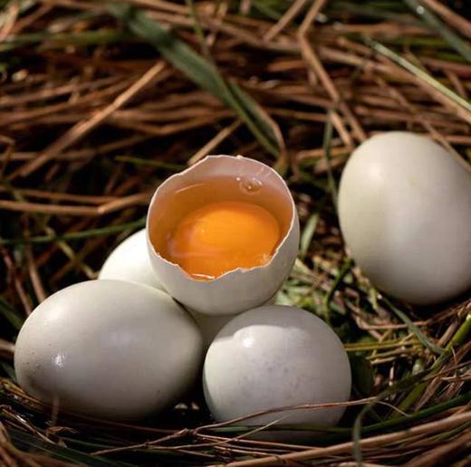 【包邮】九华山生态绿壳乌鸡蛋 光滑细腻的绿売 透亮粘稠的蛋清浓香蛋黄~ 低脂肪、低胆固醇！ 商品图1