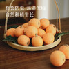 【黄金果期有限】【汉源枇杷】现摘现发 皮薄好剥 水分足足的 对嗓子也特别好~ 商品缩略图3