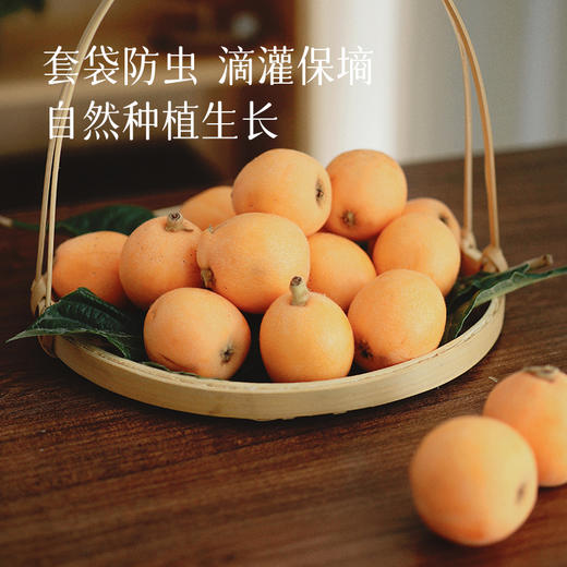 【黄金果期有限】【汉源枇杷】现摘现发 皮薄好剥 水分足足的 对嗓子也特别好~ 商品图3