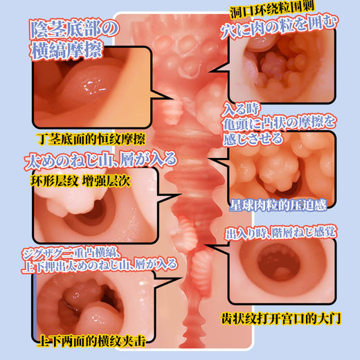 【EasyLive X 名器】超星の秘密-高桥/桥本/波多/深田/凉森-女优倒模仿真纯阴复刻名器飞机杯（极速私密发货） 商品图2