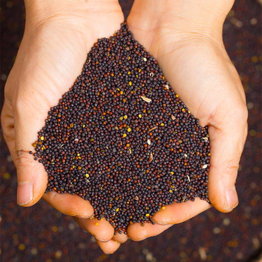 百鲜翁  小榨菜籽油  5L/桶 商品图2