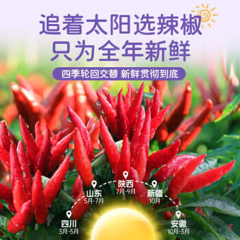 仲景 魔鬼辣酱 特辣鲜椒拌饭拌面下饭酱重辣火鸡面火锅蘸料调味酱185g /粮油调味 /调味品 /中式酱料 商品图2