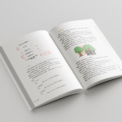 美丽的数学 商品图4