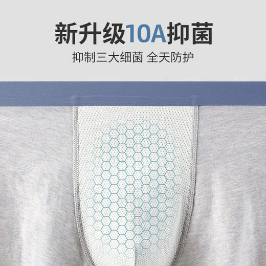 XY-1272  【1条】60支新疆长绒棉男士内裤中腰透气5A级抗菌纯色棉质平角裤 商品图3