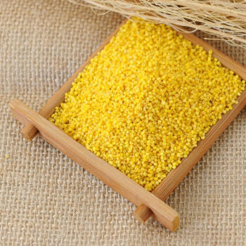 沐谷 东北黄小米5斤袋装 朝阳黄金苗小米粥25年新米东北大金苗米  /粮油调味 /杂粮 /谷米类 商品图7