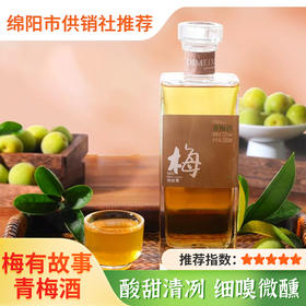 【梅有故事】四川特产平武滴梅香果酒（西柚味） 女士低度甜酒 绵阳特色青梅酒过年送礼佳品