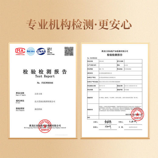 【北大荒】五常大米 5kg 电商专享 商品图2