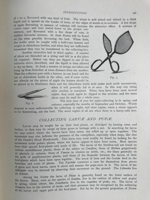 约20世纪早期 不列颠与欧洲蝴蝶飞蛾图鉴 30页彩色插图 漆布精装大16开 商品图13