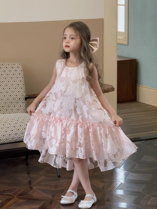 粉韵连衣裙 商品图3