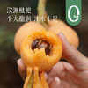 【黄金果期有限】【汉源枇杷】现摘现发 皮薄好剥 水分足足的 对嗓子也特别好~ 商品缩略图0