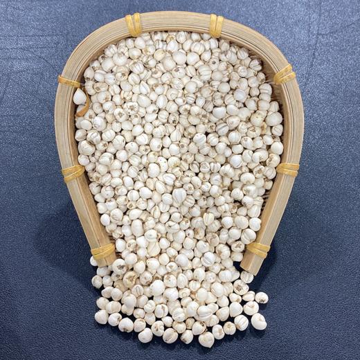 川贝  川贝母  正品松贝 商品图2