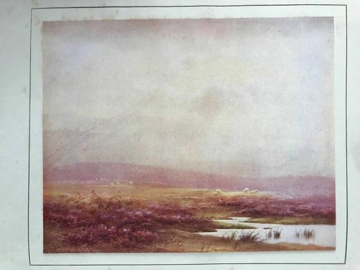 约20世纪早期 布莱克摩尔《洛娜·杜恩》 16幅彩色插图 漆布精装16开 商品图2