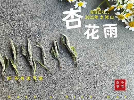 【新茶上市】2025清明白牡丹，春茶复购率排行第一的白茶，汤水花香盈盈，清鲜甘淳，美不胜收（一斤收藏装） 商品图3