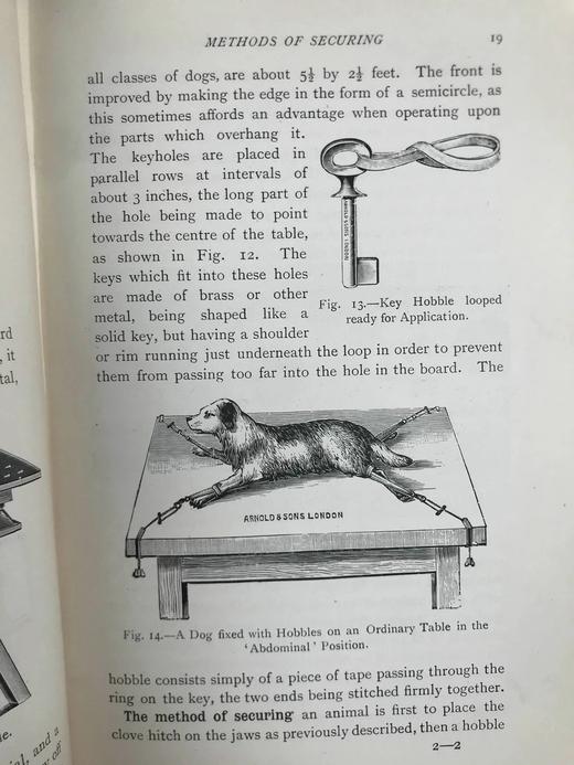 1906年 猫与狗的外科疾病 241幅插图 漆布精装大32开 商品图10