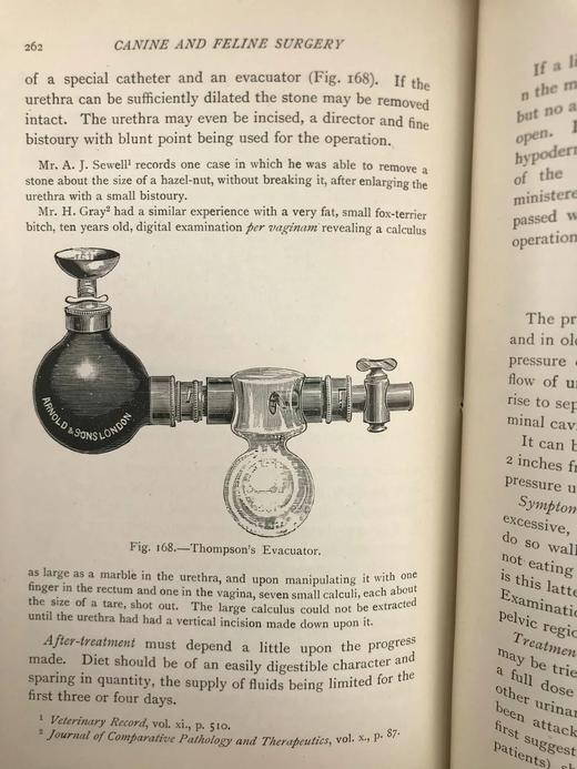 1906年 猫与狗的外科疾病 241幅插图 漆布精装大32开 商品图11