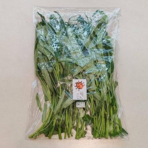 太阳公社 有机空心菜 250g/份 商品图0