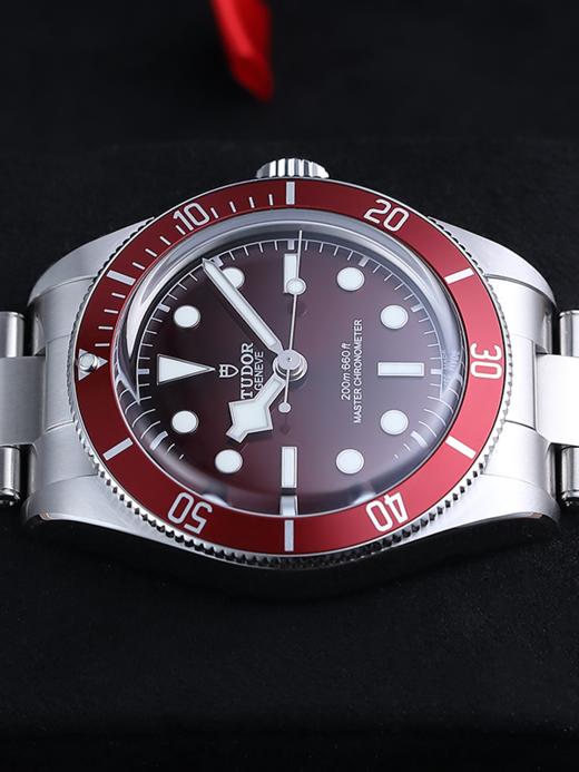帝舵M7939A1A0RU-0002 商品图4