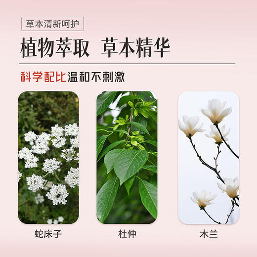 【兰渚堂自研】4号喷剂 商品图2