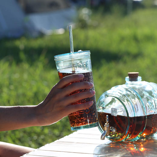 【西班牙进口吸管玻璃杯】吸管玻璃杯500ml欧盟高标准认证 商品图2