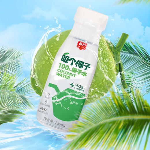 椰子水235ml 饮料椰汁 新包装【49元任选7件 会员专享】 商品图0