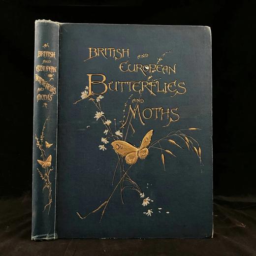 约20世纪早期 不列颠与欧洲蝴蝶飞蛾图鉴 30页彩色插图 漆布精装大16开 商品图0